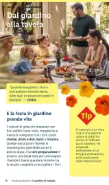 Volantino Lidl Pagina 15