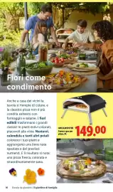 Volantino Lidl Pagina 16