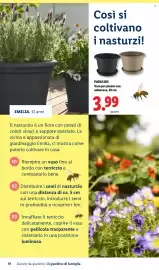 Volantino Lidl Pagina 19