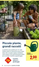 Volantino Lidl Pagina 20