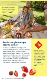 Volantino Lidl Pagina 24