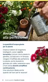 Volantino Lidl Pagina 35