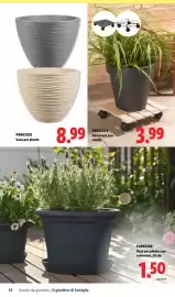 Volantino Lidl Pagina 36