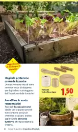 Volantino Lidl Pagina 38