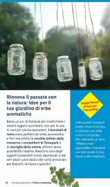 Volantino Lidl Pagina 45