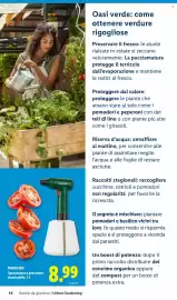 Volantino Lidl Pagina 46