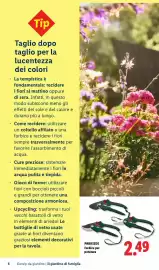 Volantino Lidl Pagina 6