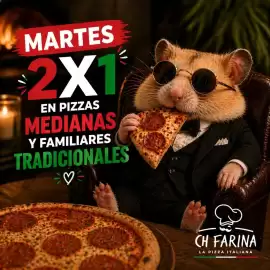 Catálogo Ch Farina Página 1