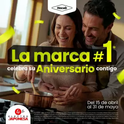 Electrojaponesa (válido hasta 31-05)