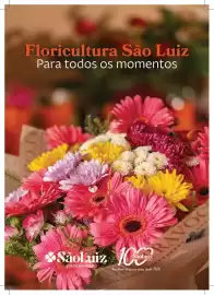 Catálogo Mercadinhos São Luiz Página 15