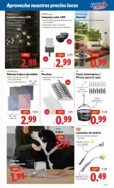 Folleto Ocine semana 17 Página 3