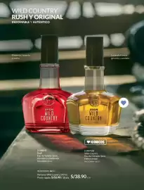 Catálogo Avon Página 105