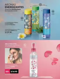 Catálogo Avon Página 114