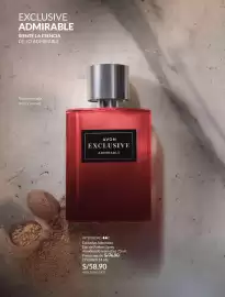Catálogo Avon Página 93