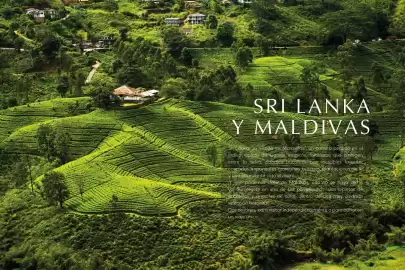 Catálogo Catai Página 119