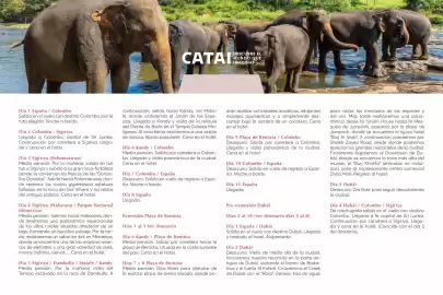 Catálogo Catai Página 123