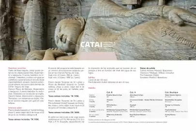 Catálogo Catai Página 124