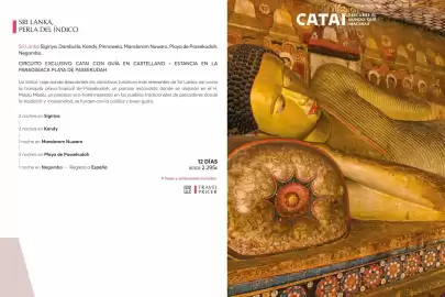 Catálogo Catai Página 131