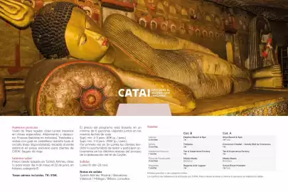 Catálogo Catai Página 133