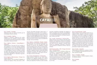 Catálogo Catai Página 138