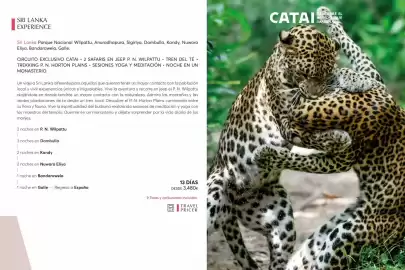 Catálogo Catai Página 143