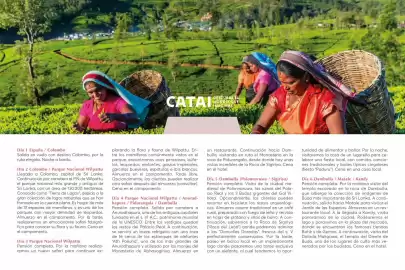 Catálogo Catai Página 144