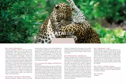 Catálogo Catai Página 145