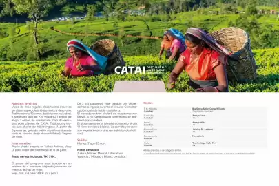 Catálogo Catai Página 146