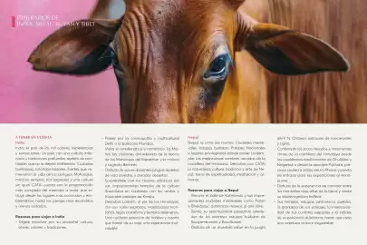 Catálogo Catai Página 16