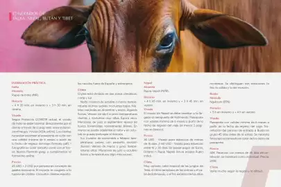 Catálogo Catai Página 18