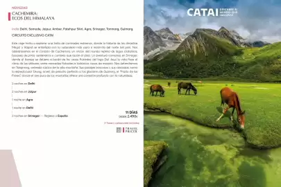 Catálogo Catai Página 39