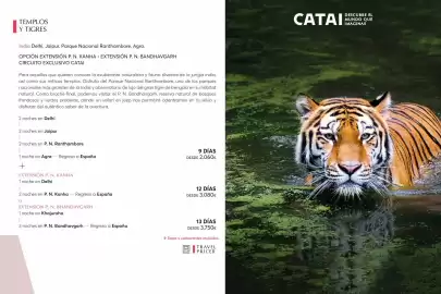 Catálogo Catai Página 62