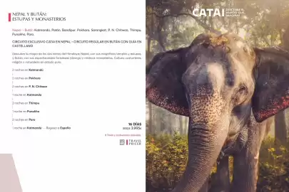 Catálogo Catai Página 95