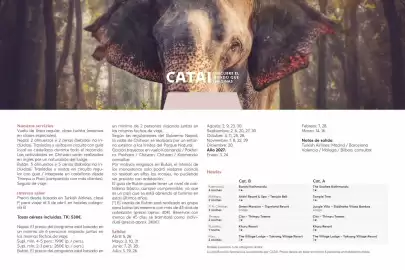 Catálogo Catai Página 97