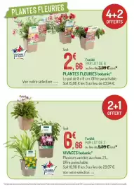 Catalogue Botanic page 2