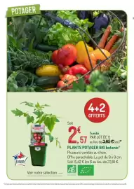 Catalogue Botanic page 6