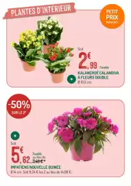 Catalogue Botanic page 9