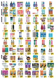 Folheto Coelho Diniz Página 4