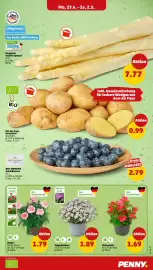PENNY Prospekt woche 18 Seite 3