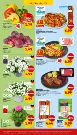 PENNY Prospekt woche 18 Seite 32