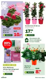 Welkoop folder week 18 Pagina 4