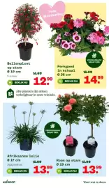 Welkoop folder week 18 Pagina 5