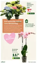 Welkoop folder week 18 Pagina 6