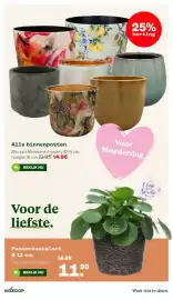 Welkoop folder week 18 Pagina 7