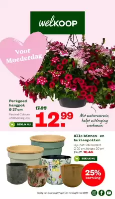 Welkoop (geldig t/m 3-05)