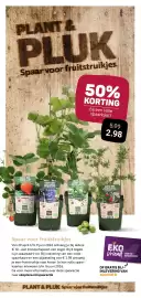 Ekoplaza folder week 18 Pagina 13