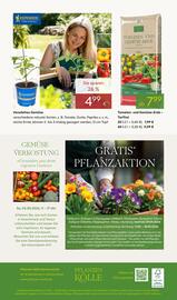 Pflanzen Kölle Prospekt woche 18 Seite 14