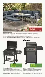 Pflanzen Kölle Prospekt woche 18 Seite 11