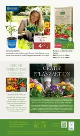 Pflanzen Kölle Prospekt woche 18 Seite 14