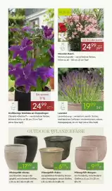 Pflanzen Kölle Prospekt woche 18 Seite 4